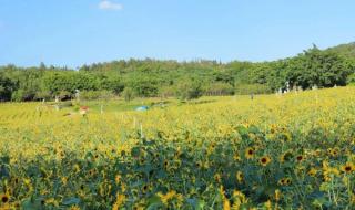 厦门翔安香山公园几点关门 厦门翔安香山